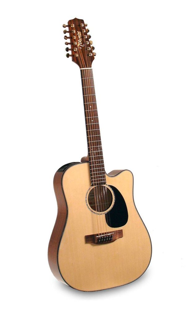 Guitar acoustic cutaway